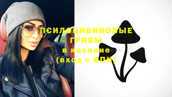 стафф Медногорск
