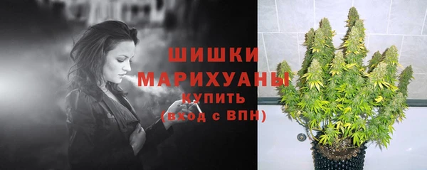 стафф Медногорск