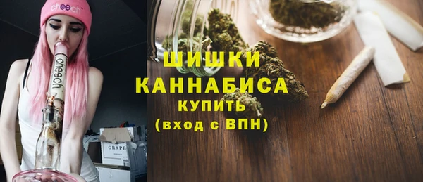 стафф Медногорск